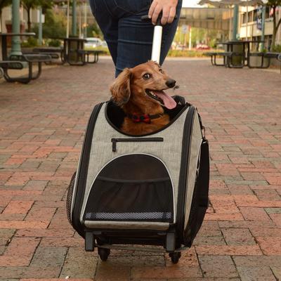 Show full view: Bergan Rolling Airline Approved Bag Dog Carrier, Heather Grey, 11.5 x 11.75 x 18.5-in slide 4 of 9