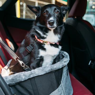 Show full view: Bergan Comfort Hanging Dog Car Booster Seat, Black, 15 x 15 x 9.5-in slide 5 of 6