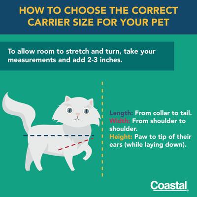 Show full view: Bergan Airline Approved Bag Cat Carrier, Heather Grey, 20 x 9.75 x 11-in slide 6 of 6