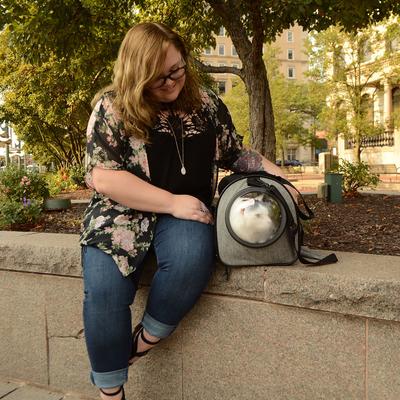 Show full view: Bergan Airline Approved Bag Cat Carrier, Heather Grey, 20 x 9.75 x 11-in slide 4 of 6