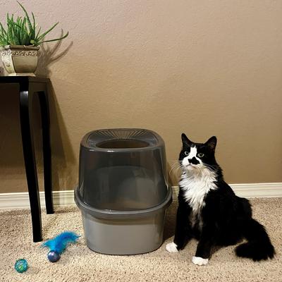 Show full view: Van Ness Trackless Top Entry Cat Litter Box, Large slide 6 of 8