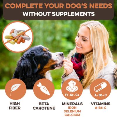 Show full view: Brutus & Barnaby Single Ingredient Sweet Potato Fries Grain-Free Dehydrated Dog treats, 8-oz bag slide 7 of 10