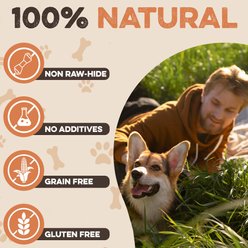 Brutus & Barnaby Rawhide-Free Beef Cheek Rolls Long Lasting Dog Chews, 5 to 7-inch, 4 count slide 2 of 8