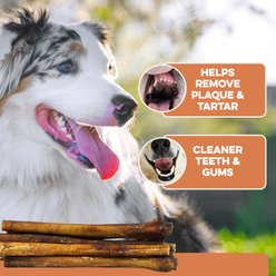 Brutus & Barnaby 12-Inch Single Ingredient High Protein & Rawhide-Free Thick Jumbo Bully Sticks Dogs Chews, 2 count slide 2 of 6