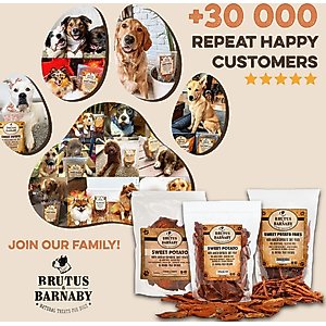Brutus & Barnaby Sweet Potato Slices Dehydrated Dog Chews, 1-lb bag