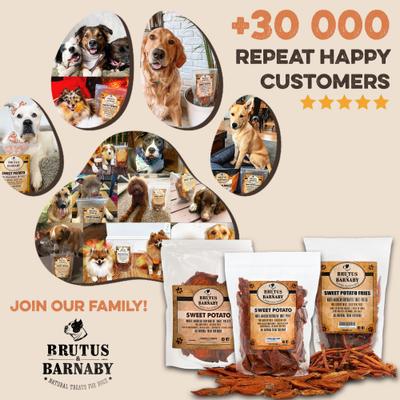 Show full view: Brutus & Barnaby Sweet Potato Slices Dehydrated Dog Chews, 28-oz bag slide 9 of 10