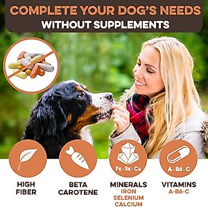 Brutus & Barnaby Sweet Potato Slices Dehydrated Dog Chews, 1-lb bag