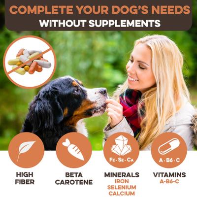 Show full view: Brutus & Barnaby Sweet Potato Slices Dehydrated Dog Chews, 28-oz bag slide 6 of 10