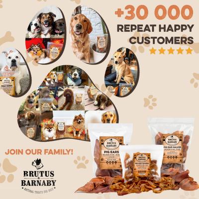 Show full view: Brutus & Barnaby Thick Cut Half Pig Ear Natural Dog Chew Treats, 50 count slide 8 of 9