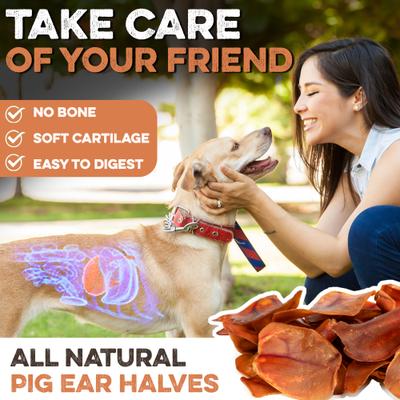 Show full view: Brutus & Barnaby Thick Cut Half Pig Ear Natural Dog Chew Treats, 50 count slide 6 of 9