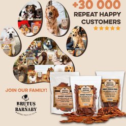 Brutus & Barnaby Single Ingredient Sweet Potato Fries Grain-Free Dehydrated Dog treats, 8-oz bag slide 2 of 8