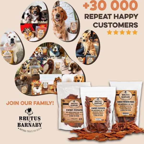 Brutus & Barnaby Single Ingredient Sweet Potato Fries Grain-Free Dehydrated Dog treats