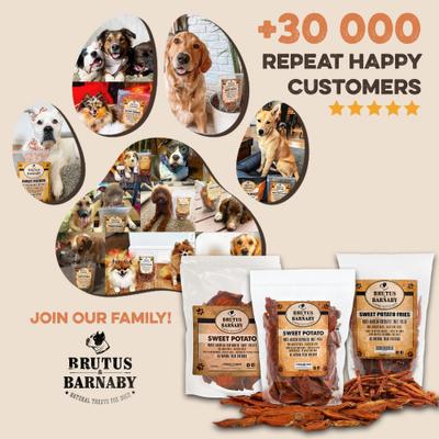 Show full view: Brutus & Barnaby Single Ingredient Sweet Potato Fries Grain-Free Dehydrated Dog treats, 8-oz bag slide 9 of 10