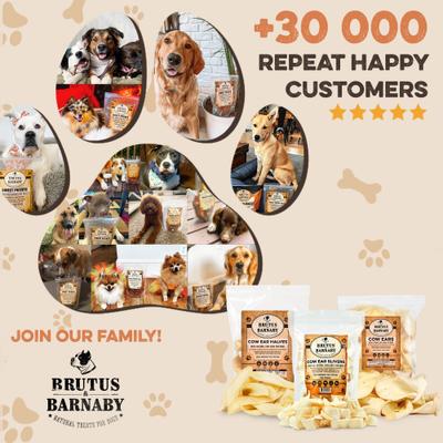 Show full view: Brutus & Barnaby Premium Half Cow Ears Natural Dog Chew, 25 count slide 8 of 9