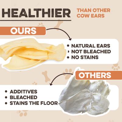 Show full view: Brutus & Barnaby Premium Half Cow Ears Natural Dog Chew, 25 count slide 4 of 9