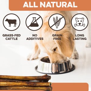 Brutus & Barnaby 12-Inch Single Ingredient High Protein & Rawhide-Free Thick Jumbo Bully Sticks Dogs Chews, 4 count