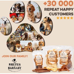 Brutus & Barnaby 12-Inch Single Ingredient High Protein & Rawhide-Free Bully Sticks Dog Chews, 2 count