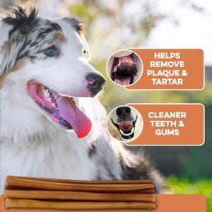 Brutus & Barnaby 12-Inch Single Ingredient High Protein & Rawhide-Free Bully Sticks Dog Chews, 2 count