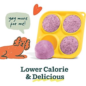 Woof Pupsicle Mix Calming Lickable Dog Treats, 5.5-oz bag