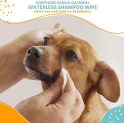 Nootie Sweet Pea & Vanilla Dog & Cat Waterless Shampoo Wipes, 70 count slide 2 of 5