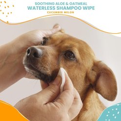 Nootie Cucumber Melon Dog & Cat Waterless Shampoo Wipes, 70 count slide 2 of 6
