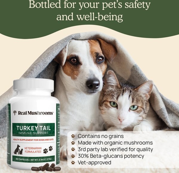 Real Mushrooms Turkey Tail Capsule Immune Supplement for Dogs & Cats, 90 count
