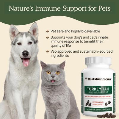 Show full view: Real Mushrooms Turkey Tail Capsule Immune Supplement for Dogs & Cats, 90 count slide 6 of 10