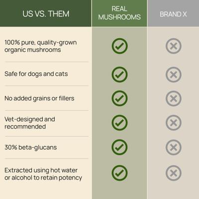 Show full view: Real Mushrooms Turkey Tail Capsule Immune Supplement for Dogs & Cats, 90 count slide 5 of 10