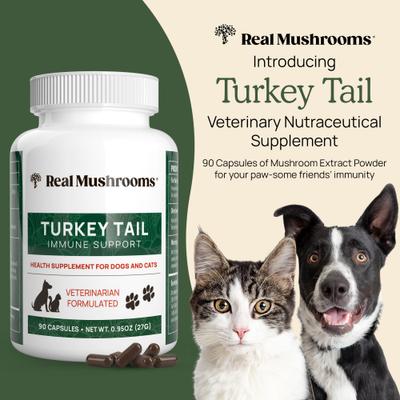 Show full view: Real Mushrooms Turkey Tail Capsule Immune Supplement for Dogs & Cats, 90 count slide 3 of 10