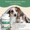 Show in main carousel: Real Mushrooms 5 Defenders Capsule Immune Supplement for Dogs & Cats, 90 count slide 7 of 10