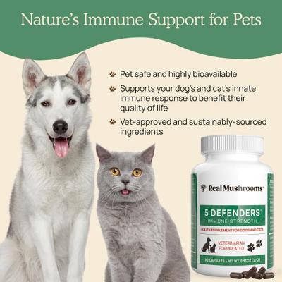Show full view: Real Mushrooms 5 Defenders Capsule Immune Supplement for Dogs & Cats, 90 count slide 6 of 10