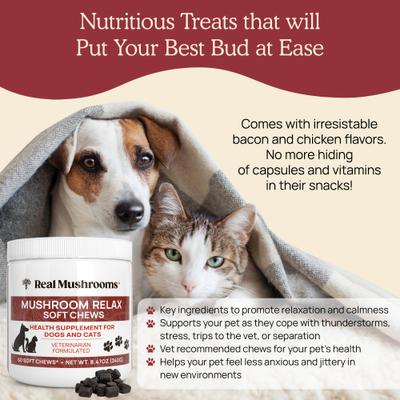 Show full view: Real Mushrooms Mushroom Relax Soft Chew Calming Supplement for Dogs & Cats, 60 count slide 7 of 11