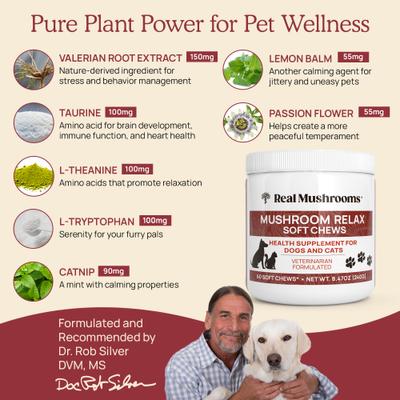 Show full view: Real Mushrooms Mushroom Relax Soft Chew Calming Supplement for Dogs & Cats, 60 count slide 4 of 11