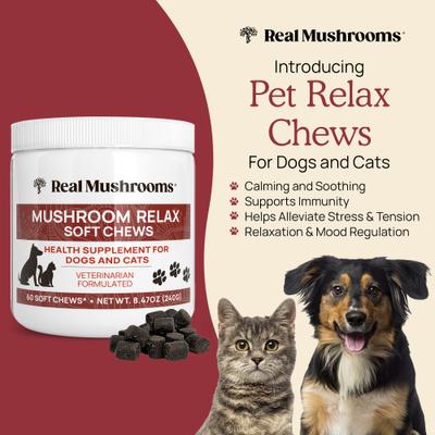 Show full view: Real Mushrooms Mushroom Relax Soft Chew Calming Supplement for Dogs & Cats, 60 count slide 3 of 11