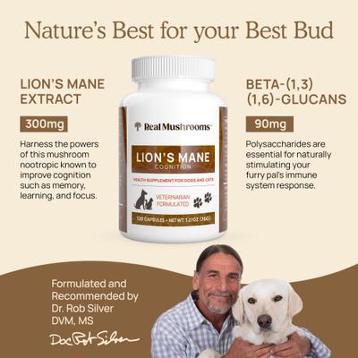 Show full view: Real Mushrooms Lion's Mane Capsule Cognitive Supplement for Dogs & Cats, 120 count slide 4 of 10