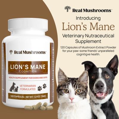 Show full view: Real Mushrooms Lion's Mane Capsule Cognitive Supplement for Dogs & Cats, 120 count slide 3 of 10