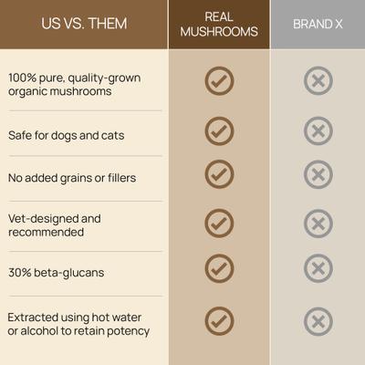 Show full view: Real Mushrooms Lion's Mane Capsule Cognitive Supplement for Dogs & Cats, 120 count slide 5 of 10