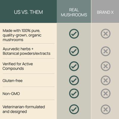 Show full view: Real Mushrooms Mushroom Immune Chews Supplement for Dogs & Cats, 60 count slide 5 of 11