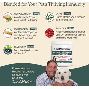 Real Mushrooms Mushroom Immune Chews Supplement for Dogs & Cats, 60 count