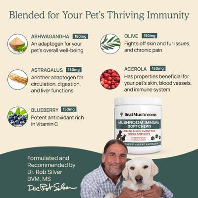 Show full view: Real Mushrooms Mushroom Immune Chews Supplement for Dogs & Cats, 60 count slide 4 of 11