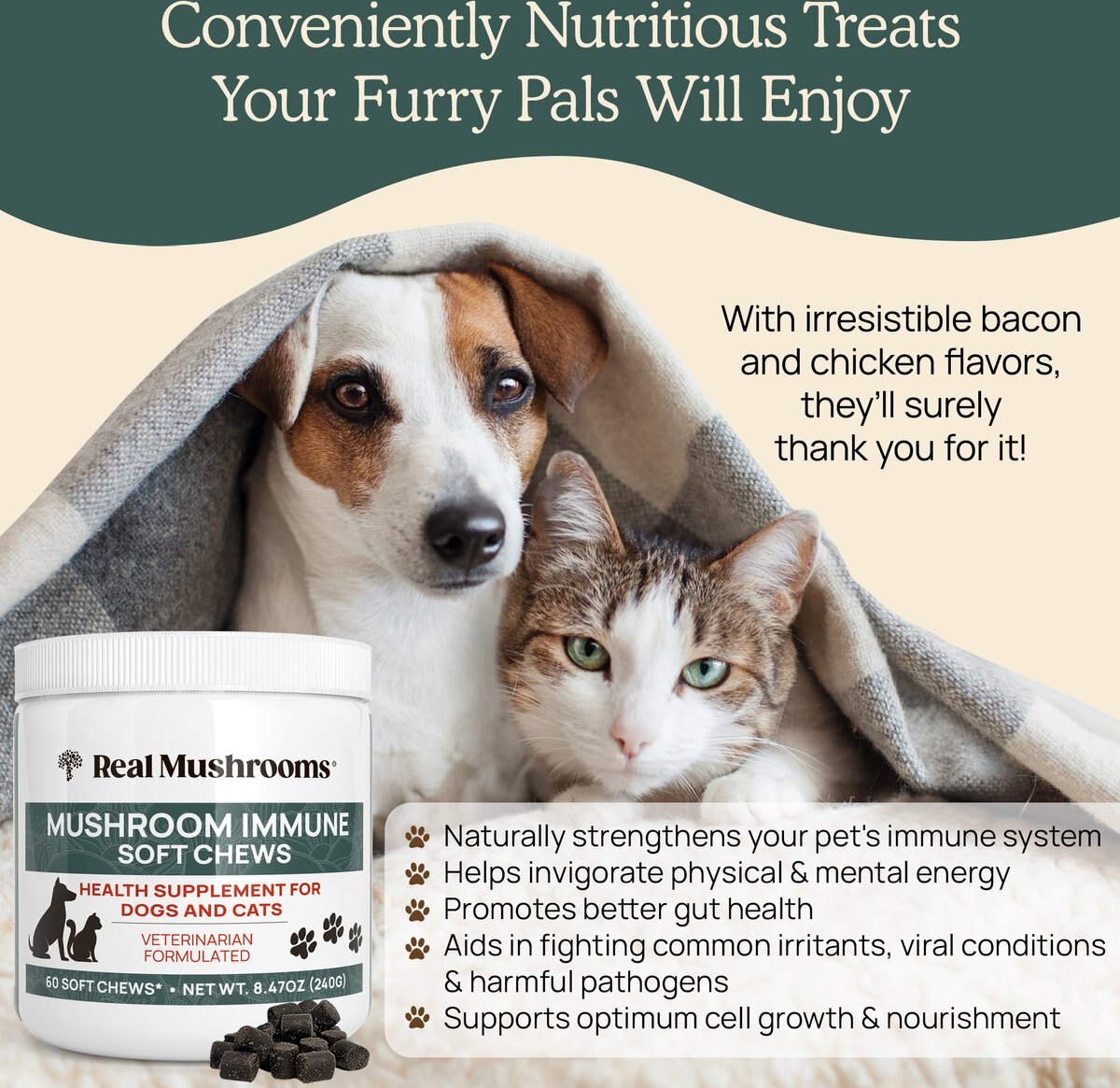 Legitpet Mushroom Complex Chews Supplement for Dogs