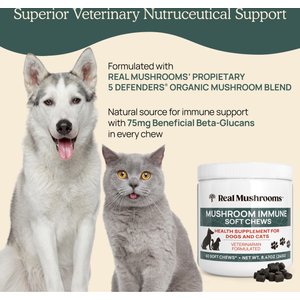 Real Mushrooms Mushroom Immune Chews Supplement for Dogs & Cats, 60 count