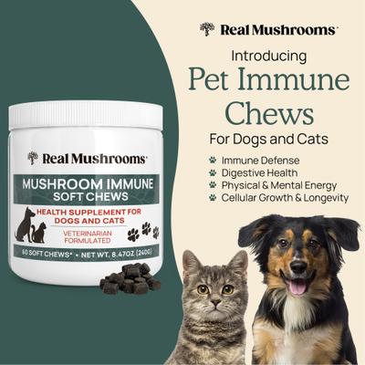 Show full view: Real Mushrooms Mushroom Immune Chews Supplement for Dogs & Cats, 60 count slide 3 of 11