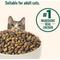 Show in main carousel: Nutrish Whole Health Blend Indoor Complete Chicken with Lentils & Salmon Recipe Dry Cat Food (Rachael Ray), 6-lb bag slide 6 of 13