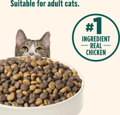 Show full view: Nutrish Whole Health Blend Indoor Complete Chicken with Lentils & Salmon Recipe Dry Cat Food (Rachael Ray), 6-lb bag slide 6 of 13