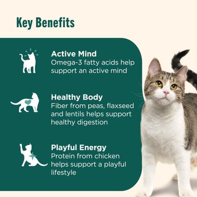 Show full view: Nutrish Whole Health Blend Indoor Complete Chicken with Lentils & Salmon Recipe Dry Cat Food, 28-lb bundle  slide 5 of 14