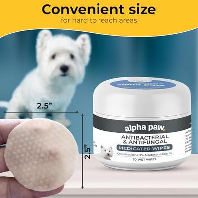 Show full view: Alpha Paw Antibacterial & Antifungal Medicated Shampoo, 16-oz bottle + Antibacterial & Antifungal Medicated Dog & Cat Wipes, 50 count slide 9 of 9