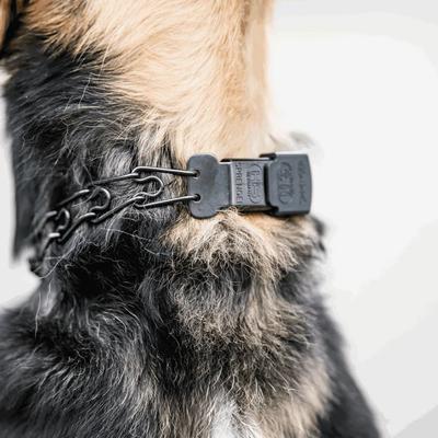 Show full view: Herm Sprenger ULTRA-PLUS Prong Training Collar with Assembly Chain & ClicLock, Black Stainless, Short Links slide 4 of 5