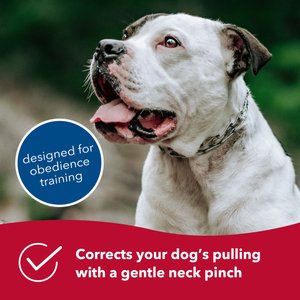 Herm Sprenger Ultra-Plus Training Dog Prong Collar, 18-in neck, 3.0-mm wide