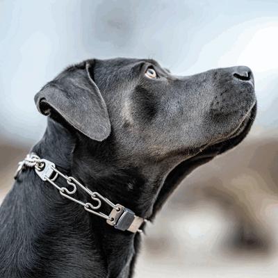 Show full view: Herm Sprenger Stainless Steel Prong Collar ClicLock Dog Collar Accessory, 4.0-mm slide 4 of 6